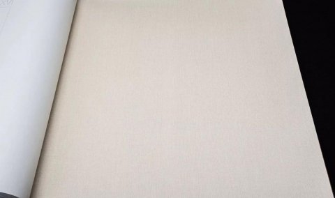 Обои Rasch Maximum 16 960778