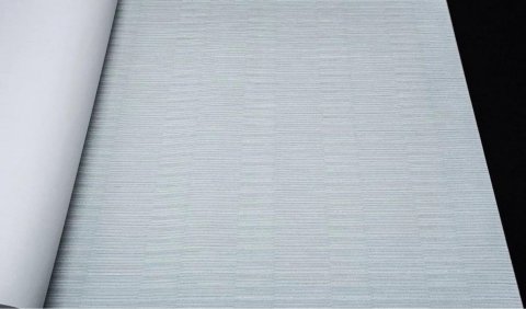 Обои Rasch Axiom 960914