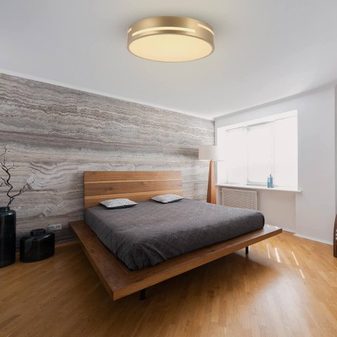 Потолочный светодиодный светильник F-Promo Pall 2745-2C