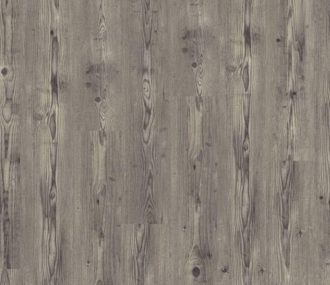 Ламинат Kronotex Dynamic Plus D 4163 Сосна рустикальная