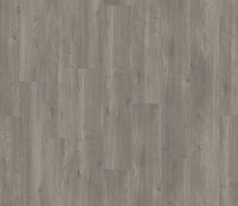 Ламинат Kronotex Exquisit Plus D 6013 Дуб Эльба серебряный