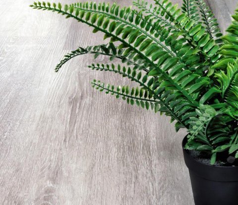 Замковый кварц-виниловый пол Alpine Floor Classic ECO 134-5 Ясень серый