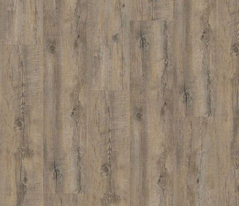 Виниловый пол Wineo 400 Wood DLC00110 Embrace Oak Grey