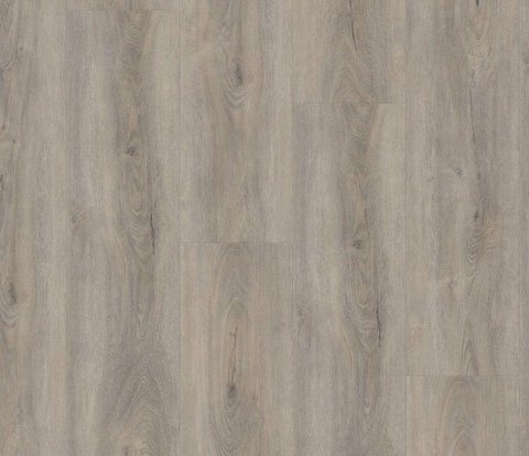 Виниловый пол Wineo 400 Wood XL DB00132 Memory Oak Silver