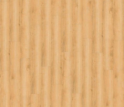 Виниловый пол Wineo 800 Wood DLC00080 Wheat Golden Oak