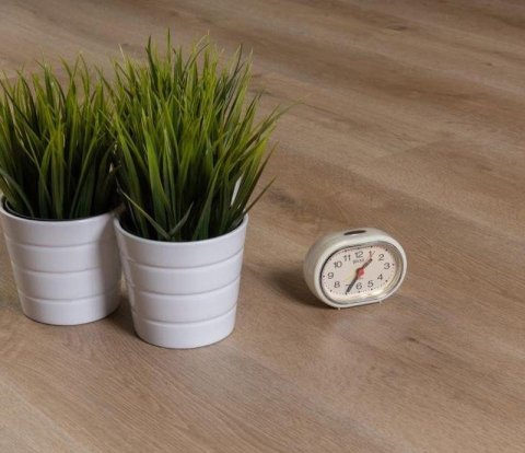 SPC ламинат Aberhof Alfa 2631b Zitrone