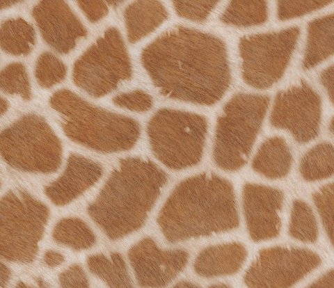 Виниловый пол Tarkett Lounge Digi Edition Benny DJ