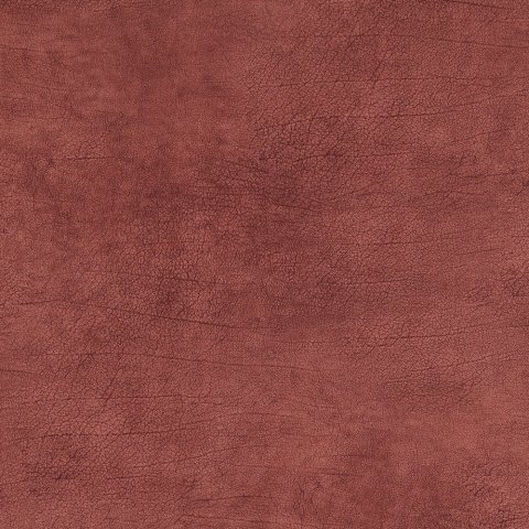 Обои BN Curious BN 17927