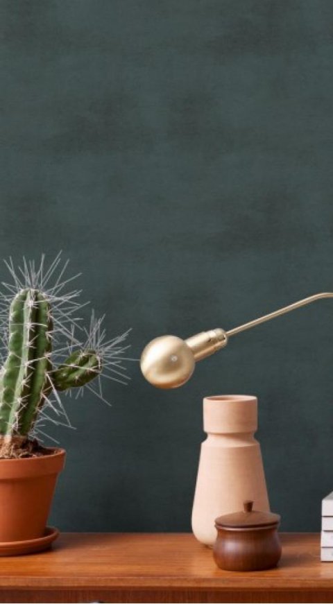 Обои BN Curious BN 17935