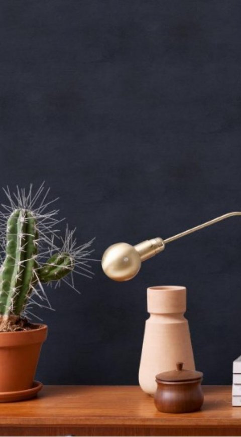 Обои BN Curious BN 17936