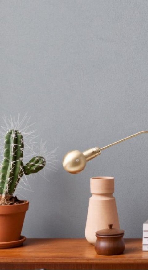 Обои BN Curious BN 17938