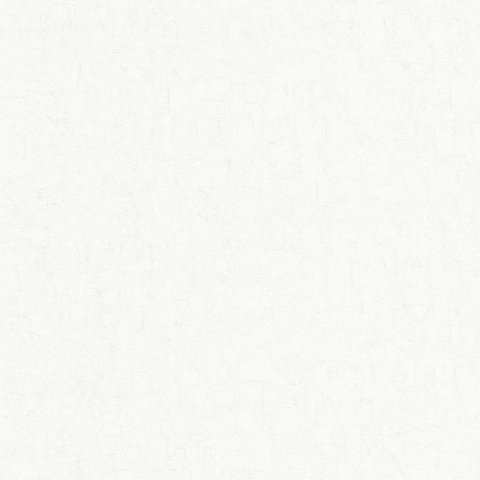 Обои BN Van Gogh 2 BN 220083