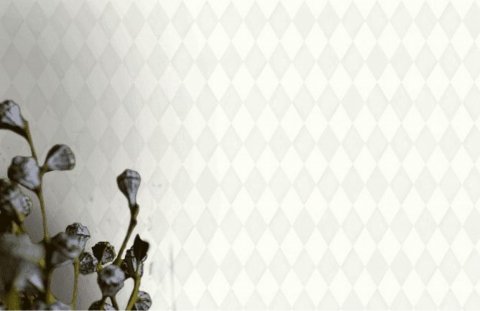 Обои BN Doodleedo BN 220761