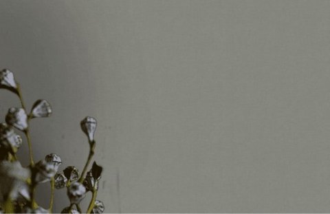 Обои BN Doodleedo BN 220807