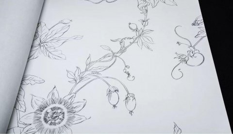 Обои BN Preloved bn220951