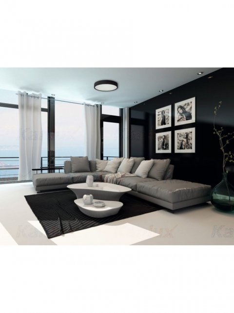 Потолочный светильник Kanlux Jasmin 370-B 29208