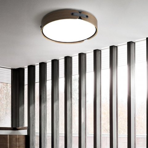 Потолочный светодиодный светильник Imperium Loft Range 195543-26