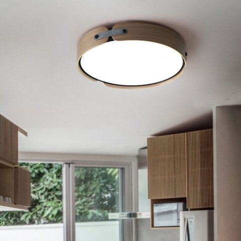 Потолочный светодиодный светильник Imperium Loft Range 195543-26