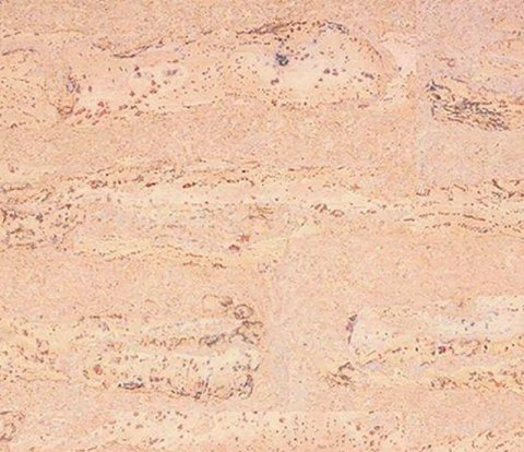 Клеевое напольное пробковое покрытие Corkstyle Natural Cork Comprido Creme