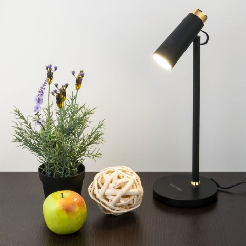 Настольная лампа Elektrostandard Joel черный/золото TL70190 a048900