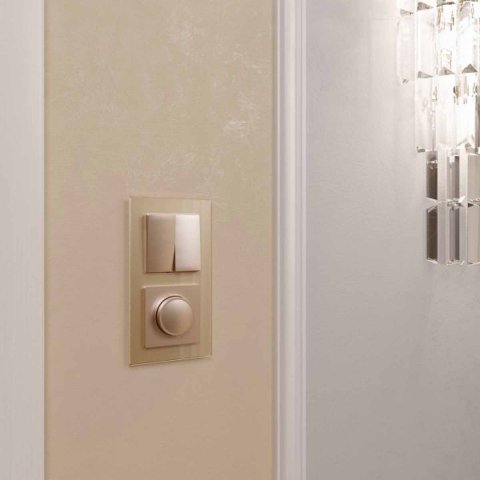 Диммер Werkel шампань W1142011 4690389157202