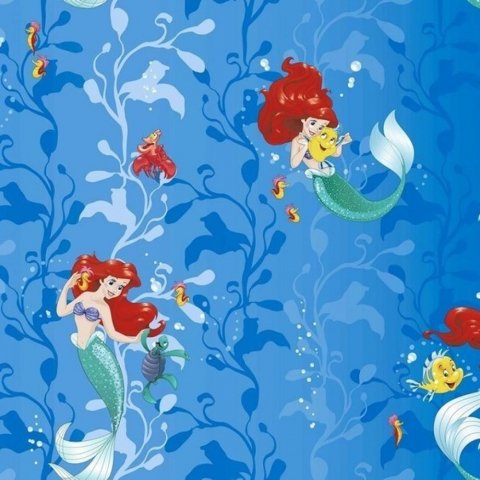 Обои Erismann RU Disney E-D-004