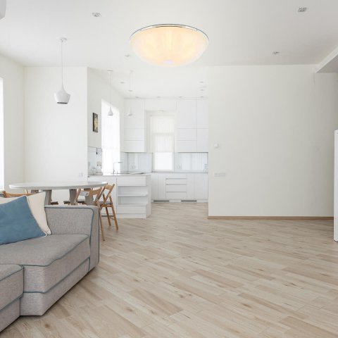 Потолочный светильник F-Promo Costa 2753-3C