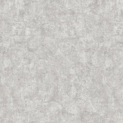 Обои Erismann RU Evolution 60167-03