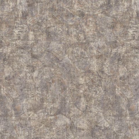 Обои Erismann RU Evolution 60167-04