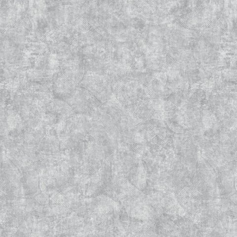 Обои Erismann RU Evolution 60167-05