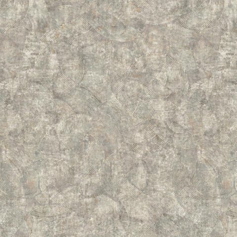 Обои Erismann RU Evolution 60167-06