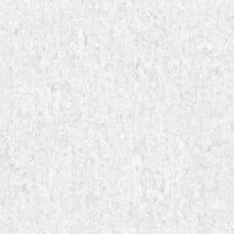 Обои Erismann RU Evolution 60245-05