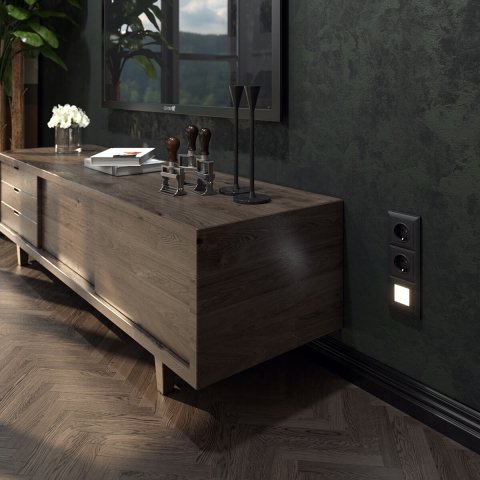 Розетка с заземлением Werkel черный матовый W1171008 4690389156878