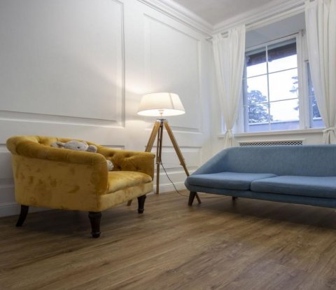 Кварцвиниловый SPC ламинат Damy Floor Family 248-8 Дуб имбирный