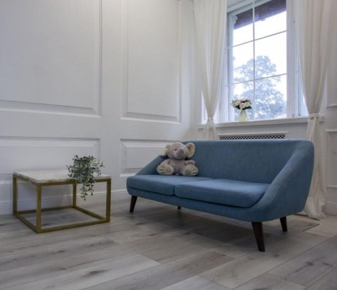 Кварцвиниловый SPC ламинат Damy Floor Family T7020-2 Дуб классический серый