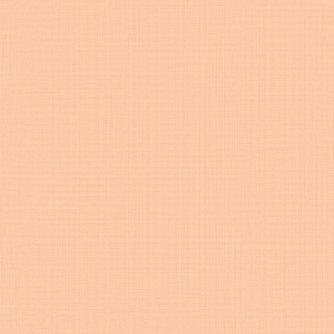 Обои Grandeco Jack n Rose Junior JR1004