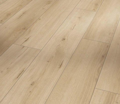 Ламинат Parador Classic 1050 1744698 Дуб Лофт чистый