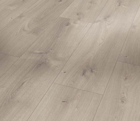 Ламинат Parador Trendtime 6 1567466 Дуб Мистраль серый