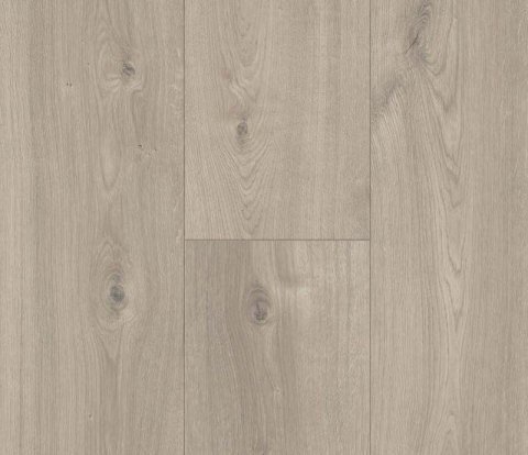 Ламинат Parador Trendtime 6 1567466 Дуб Мистраль серый