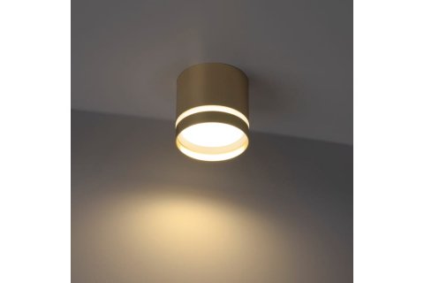 Накладной потолочный светильник Ritter Arton 59945 6