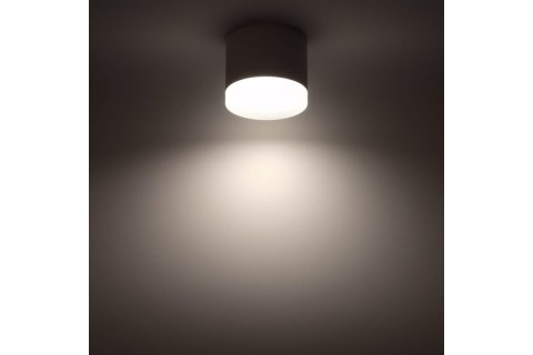 Накладной потолочный светильник Ritter Arton 59946 3