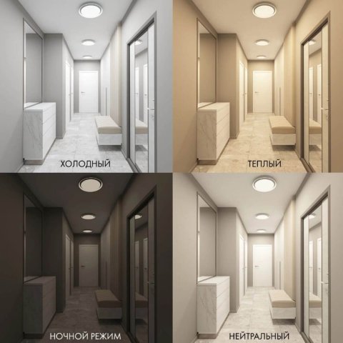 Накладной светодиодный светильник Denkirs DK6516-WH