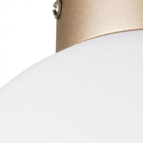 Настенно-потолочный светильник Lightstar Globo 812023