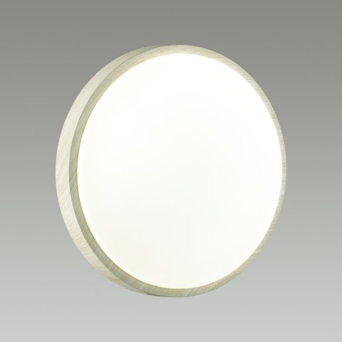 Настенно-потолочный светодиодный светильник Sonex Losta 7628/CL