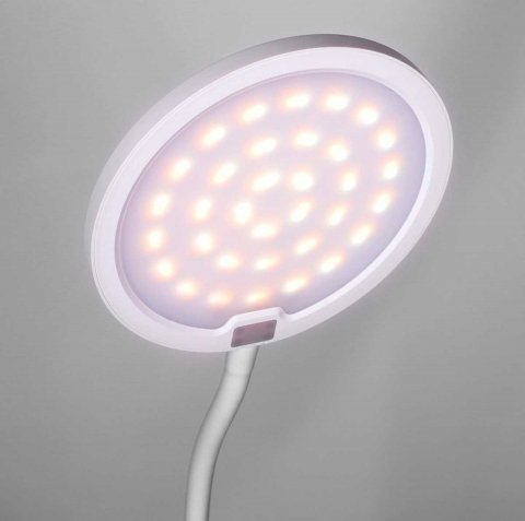 Настольная лампа Camelion KD-836 C01 13887