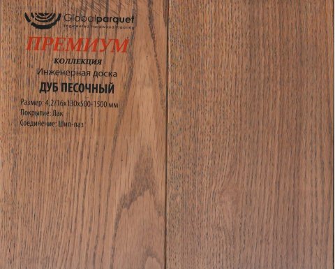 Дуб Песочный