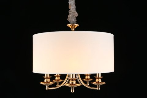 Подвесная люстра Aployt Berze APL.721.06.05