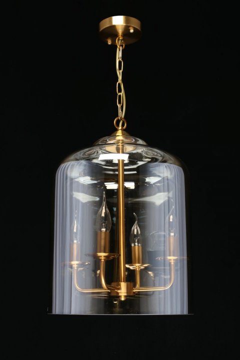 Подвесная люстра Aployt Polin APL.603.06.06