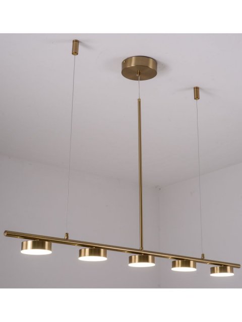 Подвесная светодиодная люстра Zortes Lory ZRS.1055.05