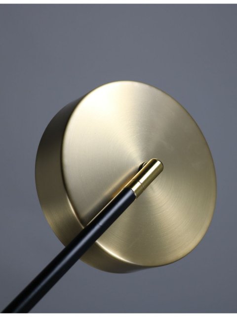 Подвесная светодиодная люстра Zortes Lunar ZRS.01243.06